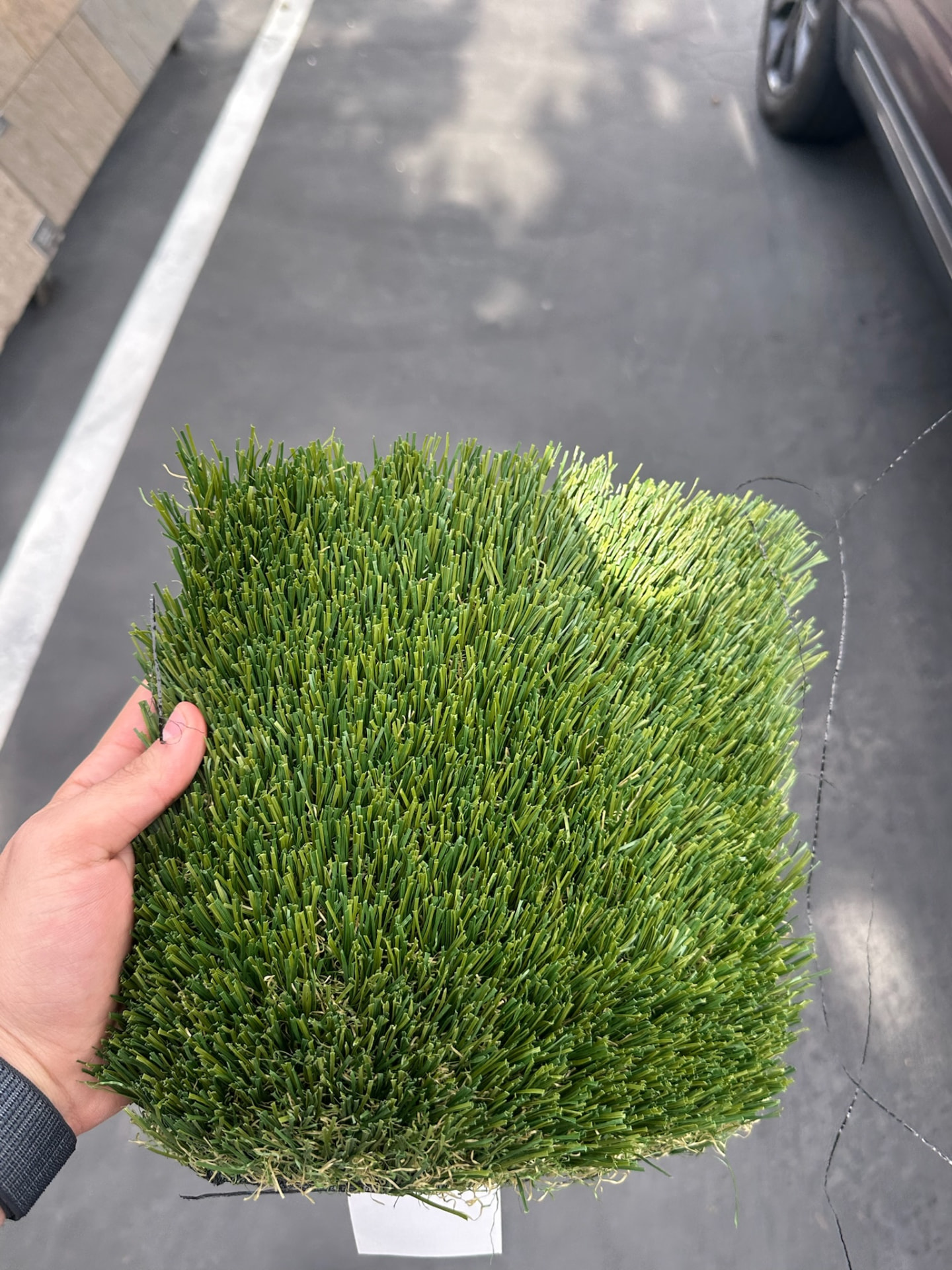 Artificial turf samples
